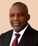 Prof. Barth Nnaji, CON, NNOM